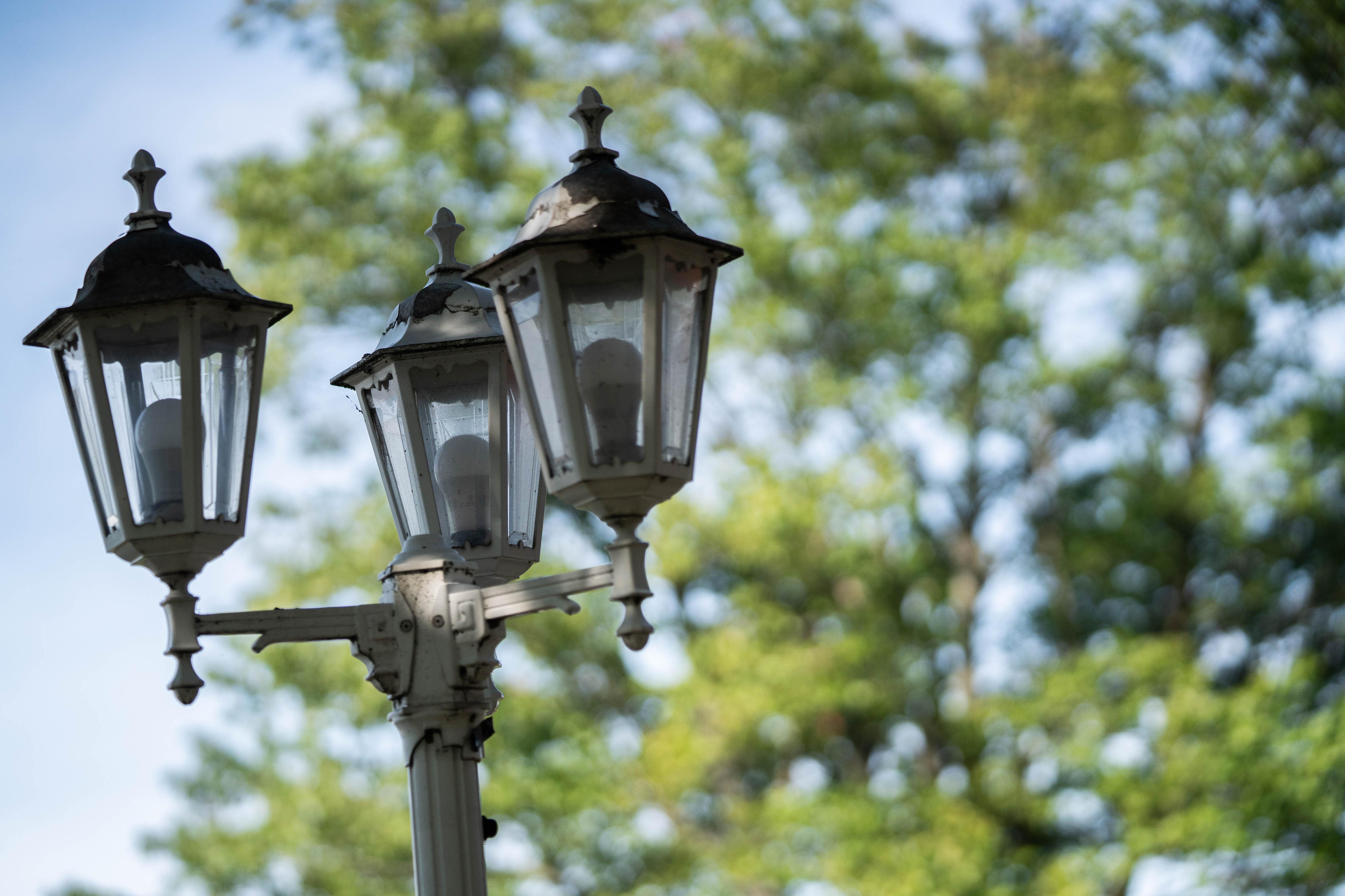 Lampposts on Main Campus